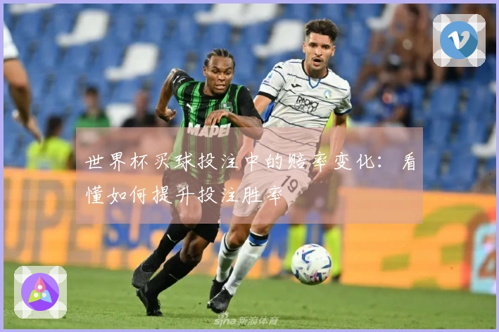 世界杯买球投注中的赔率变化：看懂如何提升投注胜率