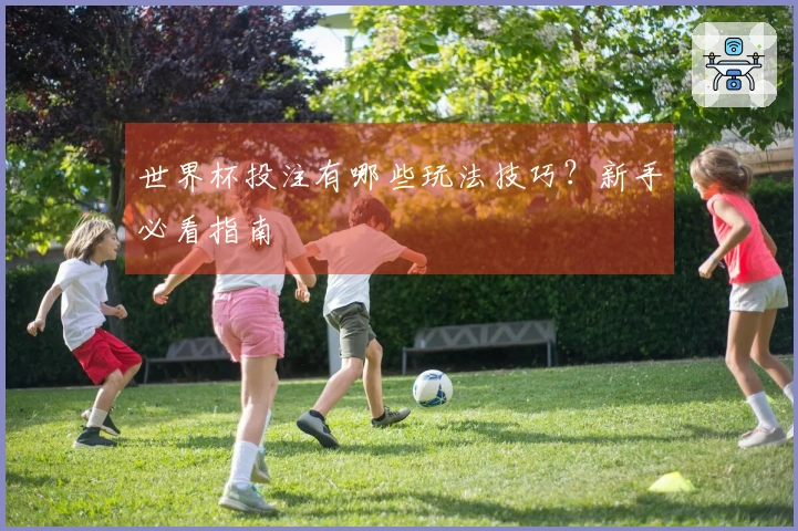 世界杯投注有哪些玩法技巧？新手必看指南