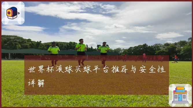 世界杯滚球买球平台推荐与安全性详解