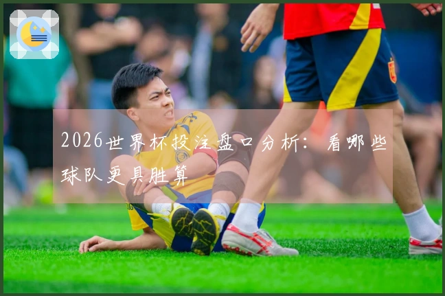 2026世界杯投注盘口分析：看哪些球队更具胜算