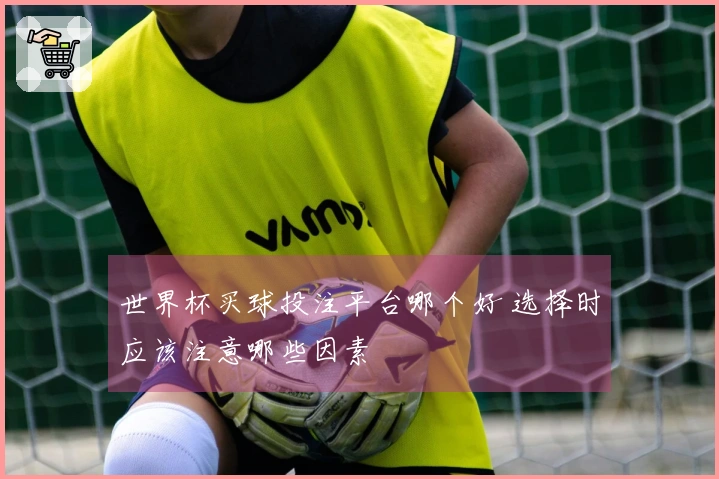 世界杯买球投注平台哪个好 选择时应该注意哪些因素
