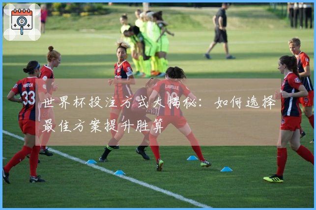 世界杯投注方式大揭秘：如何选择最佳方案提升胜算
