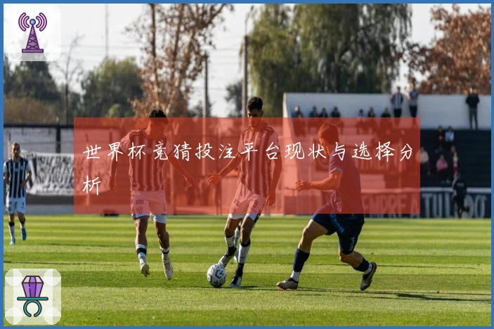 世界杯竞猜投注平台现状与选择分析